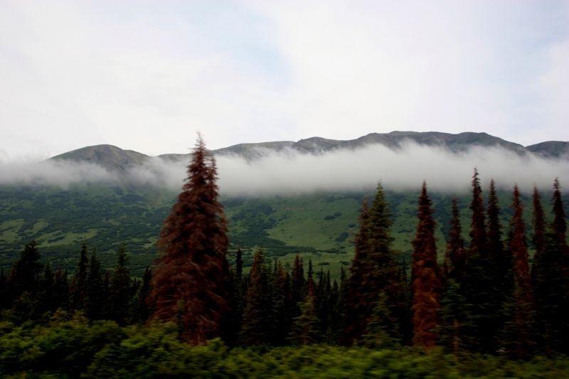 070304 Hope Seward Hope (10034)